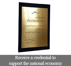 اعتبار نامه حمایت از اقتصاد ملی